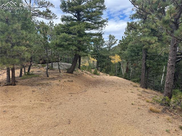 316 Summit Ridge Road