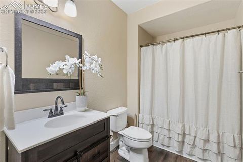 Tiny photo for 6947 Wagon Track Way, Peyton, CO 80831 (MLS # 6365327)