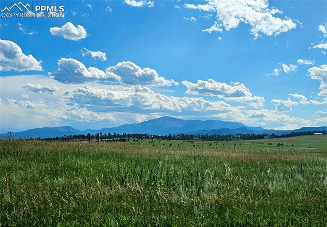 Properties For Sale Listings Lot G Hodgen Road
