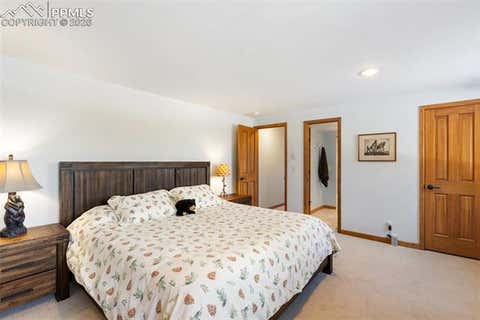Tiny photo for 4265 County Road 51 Road, Divide, CO 80814 (MLS # 8148762)