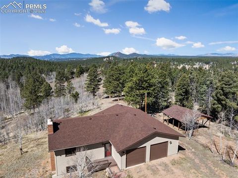 4265 County Road 51 Road Divide CO 80814