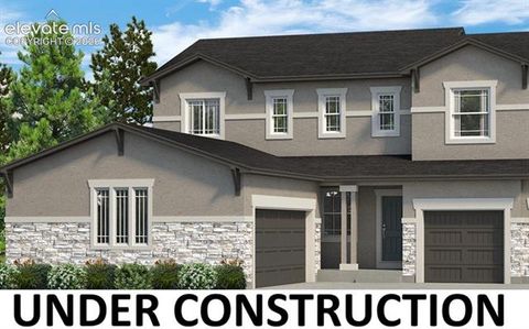 Photo of 16255 Cattle Creek Court, Monument, CO 80132 (MLS # 5297414)