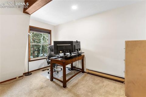 Tiny photo for 2619 Sunnywood Avenue, Woodland Park, CO 80863 (MLS # 7054202)