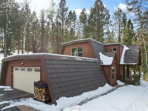 Tiny photo for 2619 Sunnywood Avenue, Woodland Park, CO 80863 (MLS # 7054202)