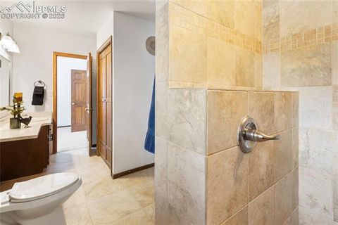 Tiny photo for 2619 Sunnywood Avenue, Woodland Park, CO 80863 (MLS # 7054202)