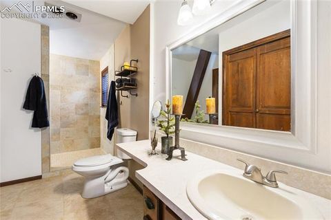 Tiny photo for 2619 Sunnywood Avenue, Woodland Park, CO 80863 (MLS # 7054202)