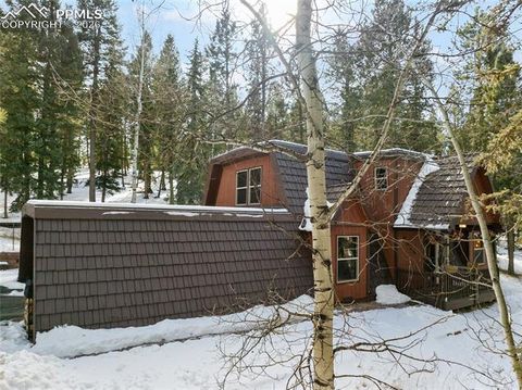 Tiny photo for 2619 Sunnywood Avenue, Woodland Park, CO 80863 (MLS # 7054202)