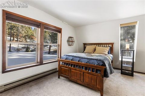 Tiny photo for 2619 Sunnywood Avenue, Woodland Park, CO 80863 (MLS # 7054202)