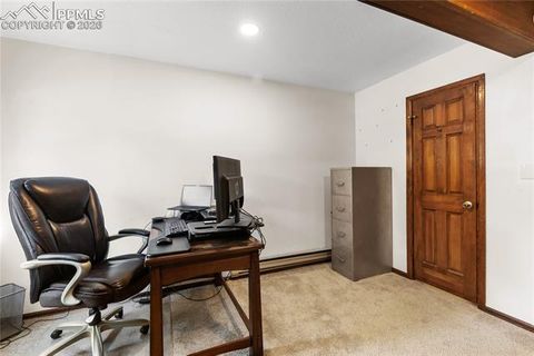 Tiny photo for 2619 Sunnywood Avenue, Woodland Park, CO 80863 (MLS # 7054202)