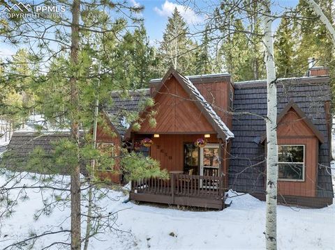 Photo of 2619 Sunnywood Avenue, Woodland Park, CO 80863 (MLS # 7054202)