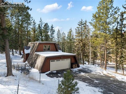 Tiny photo for 2619 Sunnywood Avenue, Woodland Park, CO 80863 (MLS # 7054202)