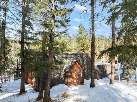 Tiny photo for 2619 Sunnywood Avenue, Woodland Park, CO 80863 (MLS # 7054202)