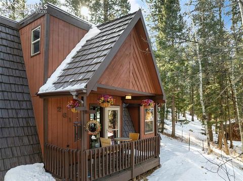 Tiny photo for 2619 Sunnywood Avenue, Woodland Park, CO 80863 (MLS # 7054202)