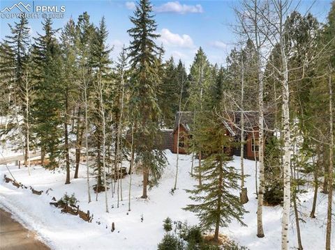 Tiny photo for 2619 Sunnywood Avenue, Woodland Park, CO 80863 (MLS # 7054202)