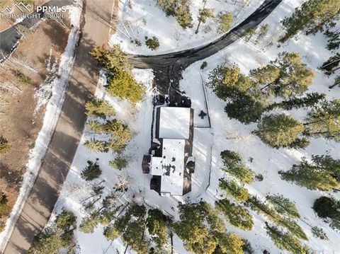 Tiny photo for 2619 Sunnywood Avenue, Woodland Park, CO 80863 (MLS # 7054202)