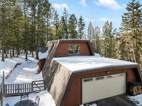 Tiny photo for 2619 Sunnywood Avenue, Woodland Park, CO 80863 (MLS # 7054202)