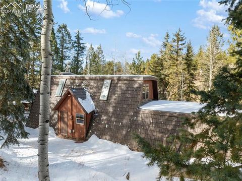 Tiny photo for 2619 Sunnywood Avenue, Woodland Park, CO 80863 (MLS # 7054202)