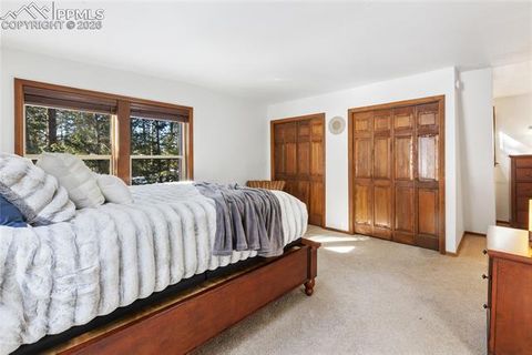 Tiny photo for 2619 Sunnywood Avenue, Woodland Park, CO 80863 (MLS # 7054202)