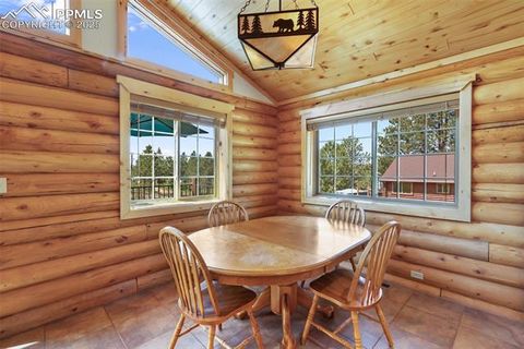 Tiny photo for 73 Big Horn Lane, Florissant, CO 80816 (MLS # 6379684)