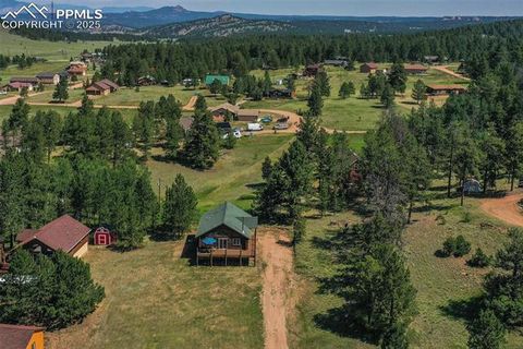 Tiny photo for 73 Big Horn Lane, Florissant, CO 80816 (MLS # 6379684)