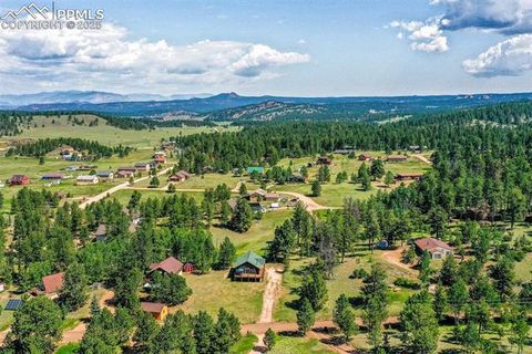 Tiny photo for 73 Big Horn Lane, Florissant, CO 80816 (MLS # 6379684)