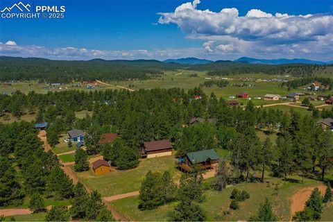 Tiny photo for 73 Big Horn Lane, Florissant, CO 80816 (MLS # 6379684)