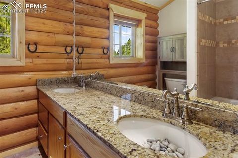 Tiny photo for 73 Big Horn Lane, Florissant, CO 80816 (MLS # 6379684)