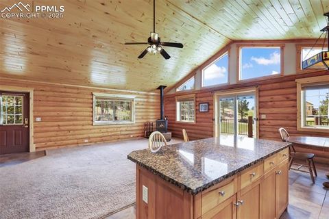 Tiny photo for 73 Big Horn Lane, Florissant, CO 80816 (MLS # 6379684)
