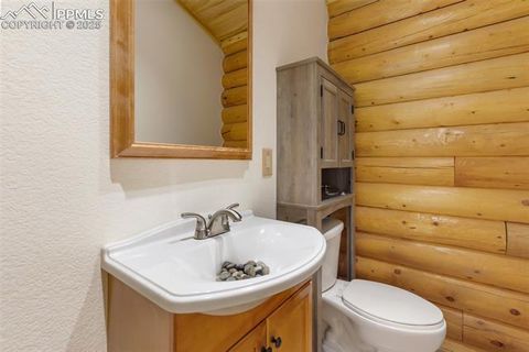 Tiny photo for 73 Big Horn Lane, Florissant, CO 80816 (MLS # 6379684)