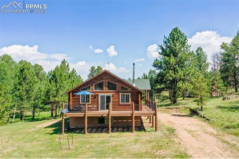 Tiny photo for 73 Big Horn Lane, Florissant, CO 80816 (MLS # 6379684)