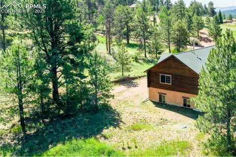 Tiny photo for 73 Big Horn Lane, Florissant, CO 80816 (MLS # 6379684)