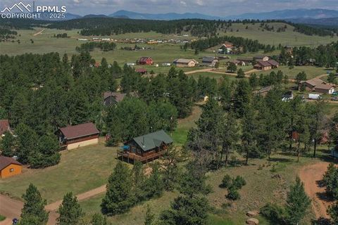 Tiny photo for 73 Big Horn Lane, Florissant, CO 80816 (MLS # 6379684)