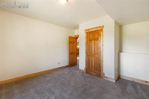Tiny photo for 73 Big Horn Lane, Florissant, CO 80816 (MLS # 6379684)