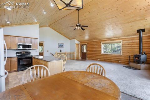 Tiny photo for 73 Big Horn Lane, Florissant, CO 80816 (MLS # 6379684)