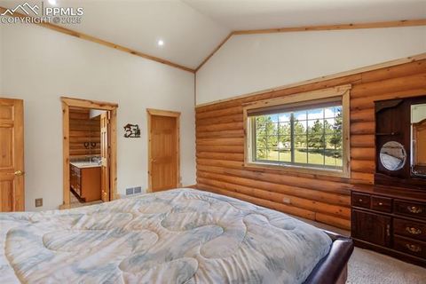 Tiny photo for 73 Big Horn Lane, Florissant, CO 80816 (MLS # 6379684)