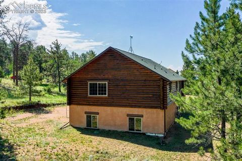 Tiny photo for 73 Big Horn Lane, Florissant, CO 80816 (MLS # 6379684)