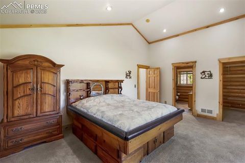 Tiny photo for 73 Big Horn Lane, Florissant, CO 80816 (MLS # 6379684)