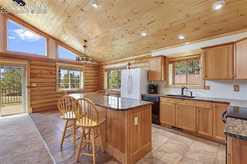 Tiny photo for 73 Big Horn Lane, Florissant, CO 80816 (MLS # 6379684)