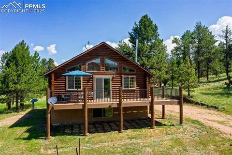 Tiny photo for 73 Big Horn Lane, Florissant, CO 80816 (MLS # 6379684)