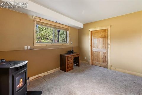 Tiny photo for 73 Big Horn Lane, Florissant, CO 80816 (MLS # 6379684)