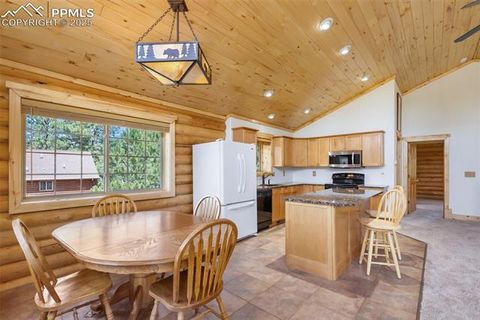 Tiny photo for 73 Big Horn Lane, Florissant, CO 80816 (MLS # 6379684)