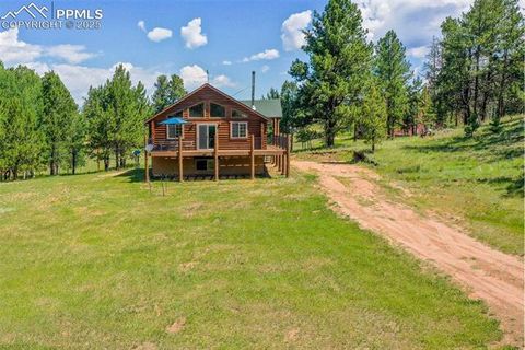 Tiny photo for 73 Big Horn Lane, Florissant, CO 80816 (MLS # 6379684)