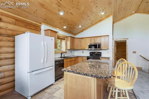 Tiny photo for 73 Big Horn Lane, Florissant, CO 80816 (MLS # 6379684)