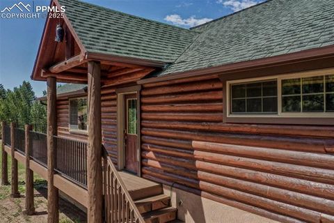 Tiny photo for 73 Big Horn Lane, Florissant, CO 80816 (MLS # 6379684)