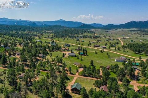 Tiny photo for 73 Big Horn Lane, Florissant, CO 80816 (MLS # 6379684)