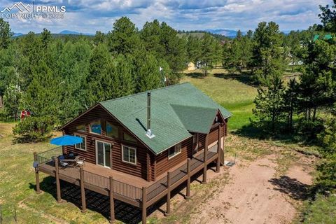 Photo of 73 Big Horn Lane, Florissant, CO 80816 (MLS # 6379684)