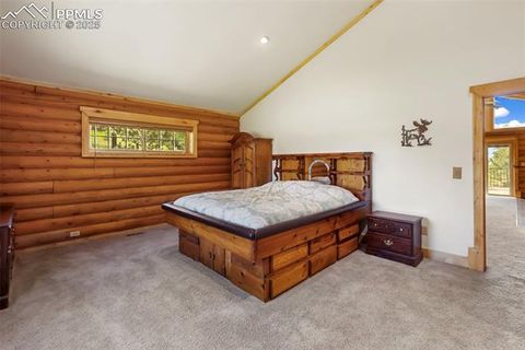 Tiny photo for 73 Big Horn Lane, Florissant, CO 80816 (MLS # 6379684)