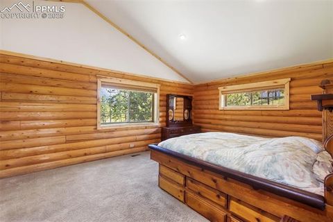 Tiny photo for 73 Big Horn Lane, Florissant, CO 80816 (MLS # 6379684)