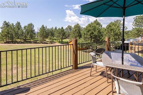 Tiny photo for 73 Big Horn Lane, Florissant, CO 80816 (MLS # 6379684)