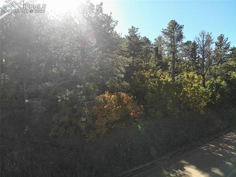 Photo of Oakdale Terrace, Monument, CO 80132 (MLS # 6527201)